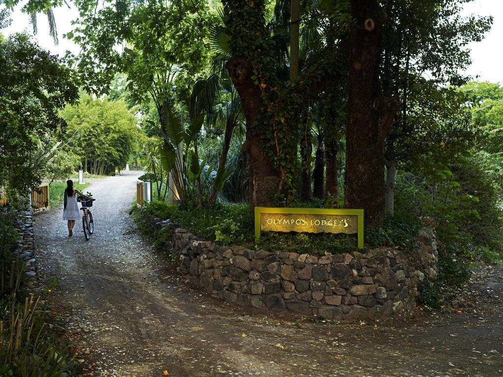 Çıralı Olympos Lodge מראה חיצוני תמונה