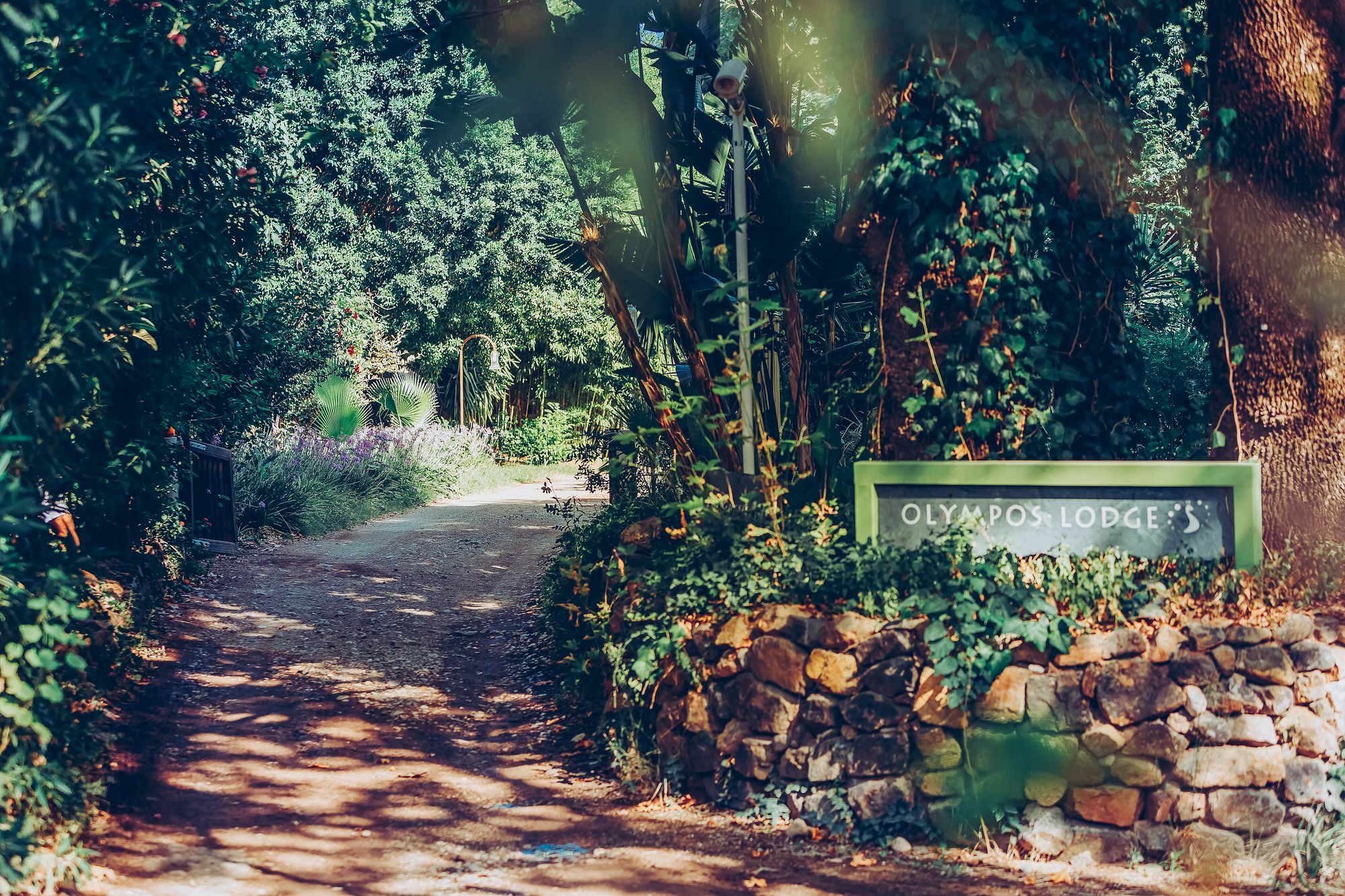 Çıralı Olympos Lodge מראה חיצוני תמונה