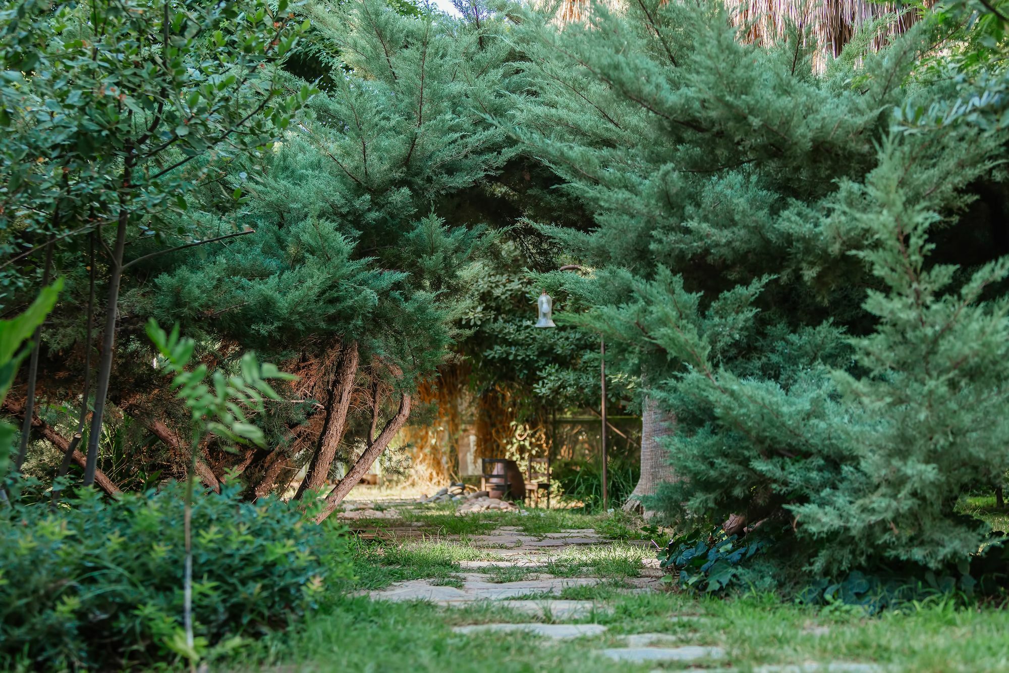 Çıralı Olympos Lodge מראה חיצוני תמונה